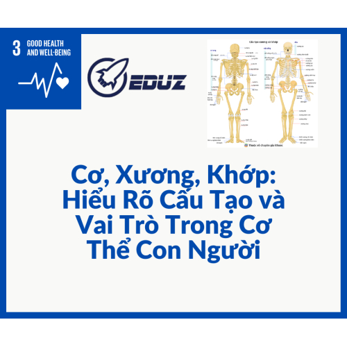 Cơ, Xương, Khớp: Hiểu Rõ Cấu Tạo và Vai Trò Trong Cơ Thể Con Người